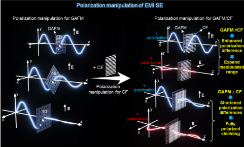 我校何大平教授团队在Nature子刊上发表最新研究成果